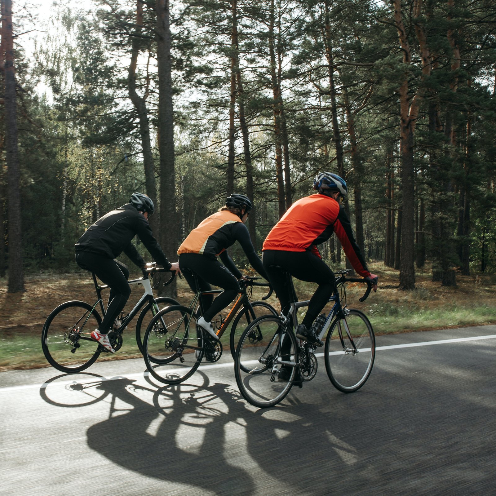 Tres ciclistas rodando por un camino forestal